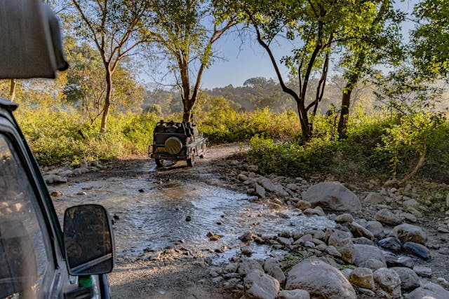 Jim Corbett & Nainital